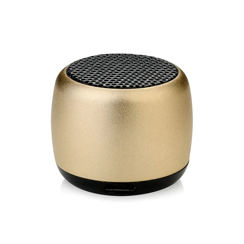 Mini haut-parleur Bluetooth portable